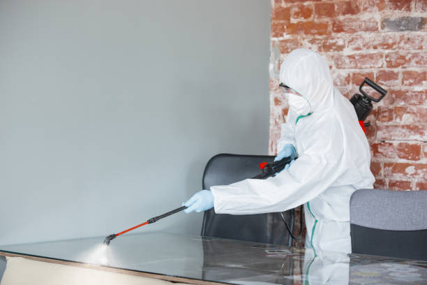 Mold Documentation for Insurance Claims in Barrett, TX